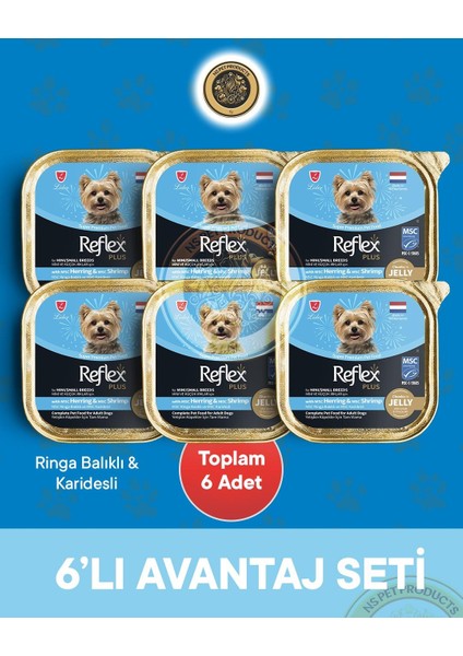 Plus Pate Ringa Balıklı ve Msc Karidesli Mini ve Küçük Irklar Için Yetişkin Köpek Maması – 6 × 85 G