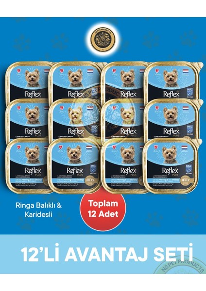 Plus Pate Ringa Balıklı ve Msc Karidesli Mini ve Küçük Irklar Için Yetişkin Köpek Maması – 12 × 85 G