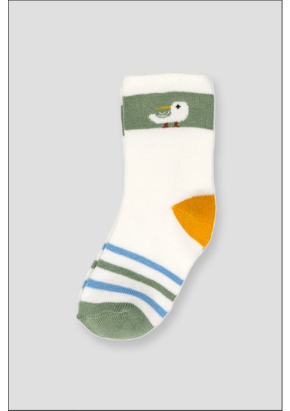 12 Çift Mevsimlik Pamuklu Erkek Çocuk ve Bebek Soket Çorap modelleri