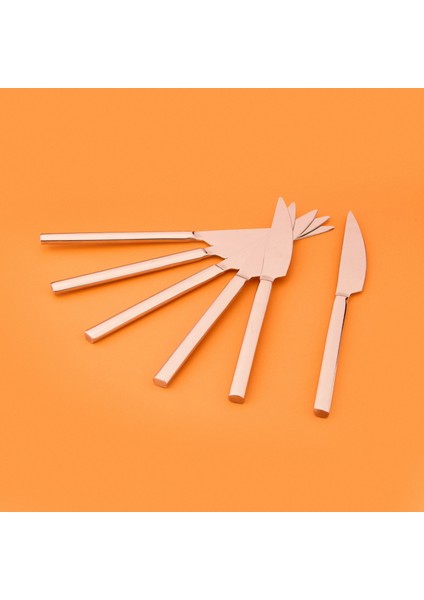 6'lı Yemek Bıçağı - Gri