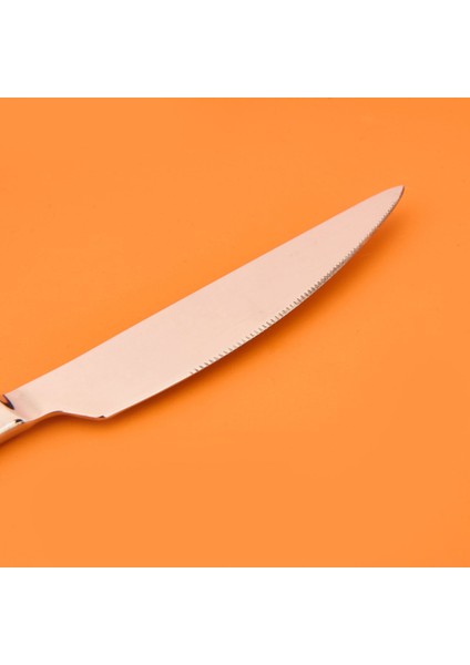 6'lı Yemek Bıçağı - Gri modelleri