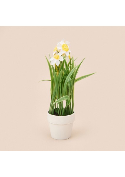 Spring Çiçek - Asorti - 6x5 cm