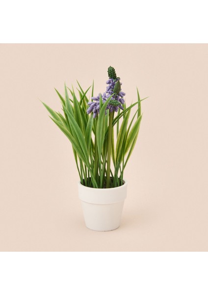 Spring Çiçek - Asorti - 6x5 cm fiyatları