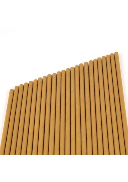 25'li Kağıt Pipet - Asorti - 20 cm modelleri