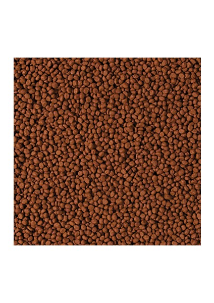 Cichlid Carnivore Small Pellet 250 Gram Balık Yemi