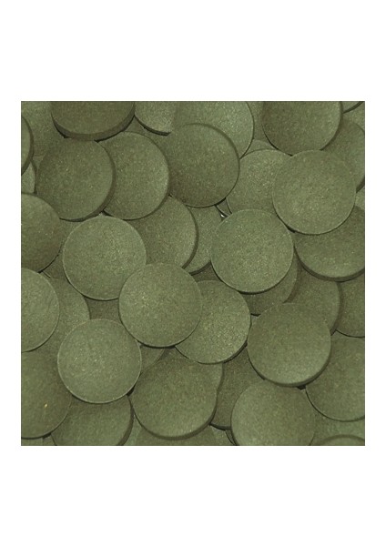 Plecos Tablets 1000 gr Açık Balık Yemi