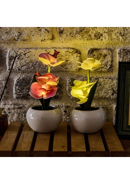 Saksıda Ledli Orkide - Asorti - 25X9 cm fiyatları