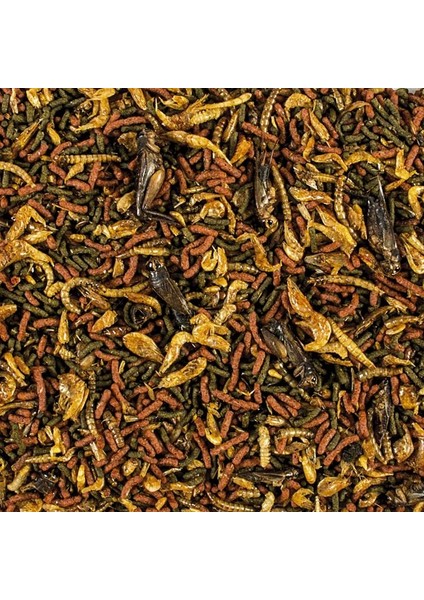 Soft Line Carnivore 1000 Gram Kovadan Bölme