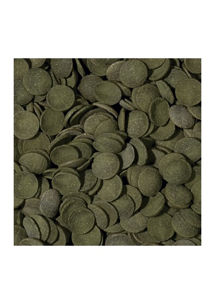Green Algae Wafers 50 Gram Balık Yemi
