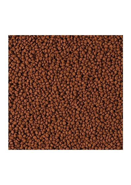 Cichlid Carnivore Small Pellet 1000 gr Açık