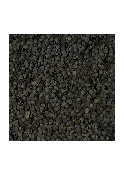 Super Spirulina Forte Chips 100 Gram Balık Yemi