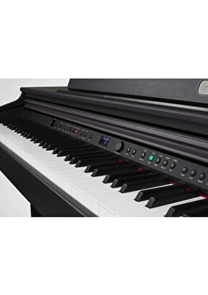 DP-10e Gülağacı Dijital Piyano 88 Tuşlu Doğal Aksiyon ile Müzik Keyfi Sunar indirimleri