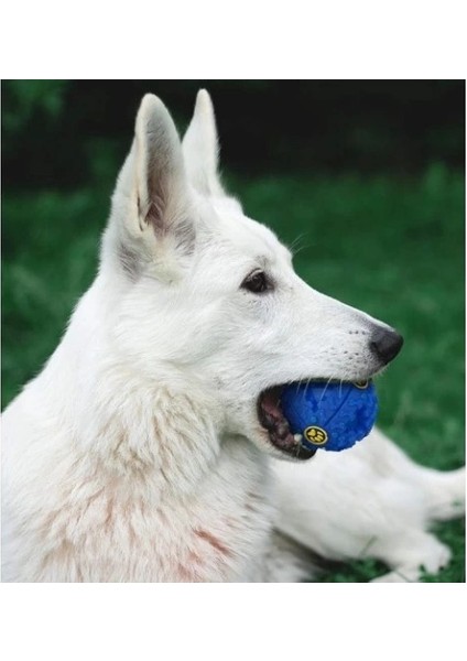 Seslı Mama Oyun Topu indirimleri
