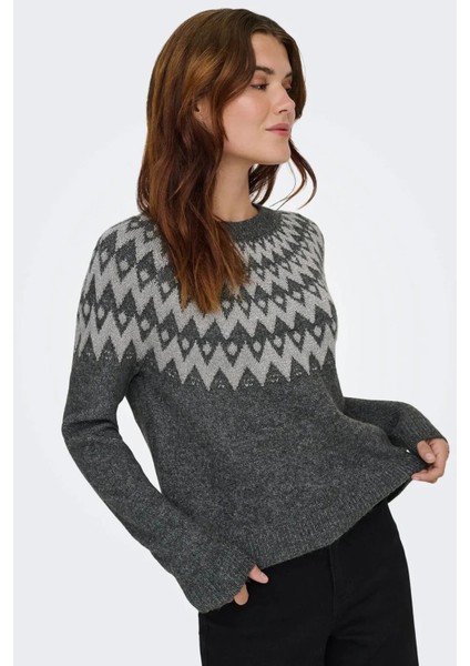 Onlfry Desenli Regular Fit Bisiklet Yaka Örme Kazak Bayan Kazak 15350618 fiyatları