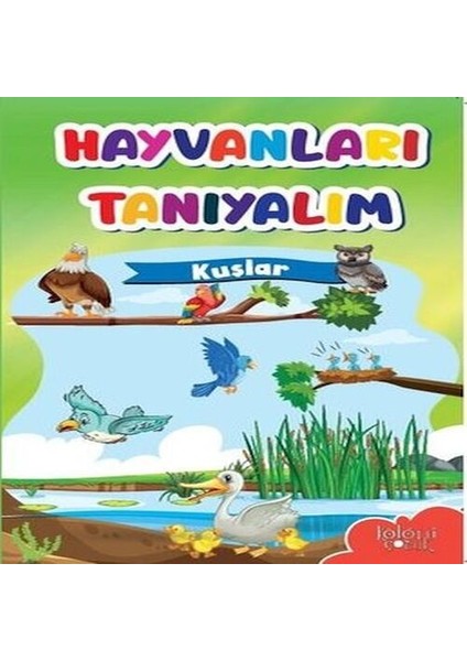 Muhteşem Çizimler ve Kolay Anlatım ile Hayvanları Tanıyalım Kuşlar