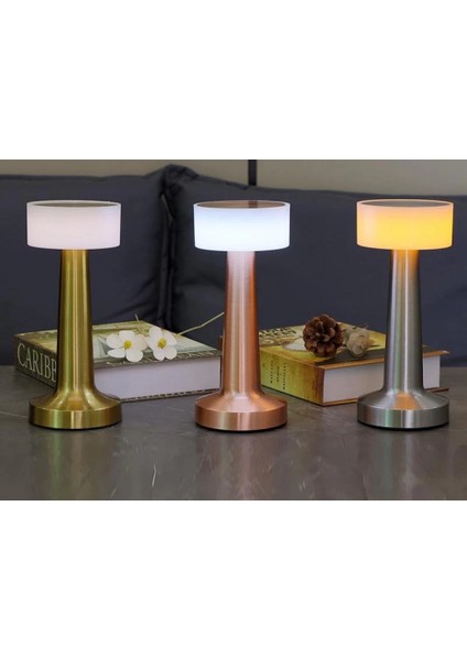 Wınnboss Ekl-04 Dekoratif Masa Lambası (Gold Renk)