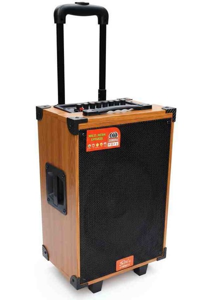 Premium Tekerlekli Taşınabilir Ses Sistemi – 20000W Pmpo Güç, Bluetooth, Mikrofon Girişi ve Ahşap Tasarım fiyatları