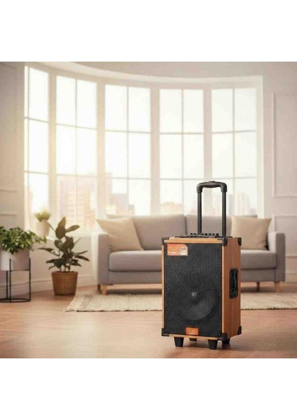 Premium Tekerlekli Taşınabilir Ses Sistemi – 20000W Pmpo Güç, Bluetooth, Mikrofon Girişi ve Ahşap Tasarım modelleri