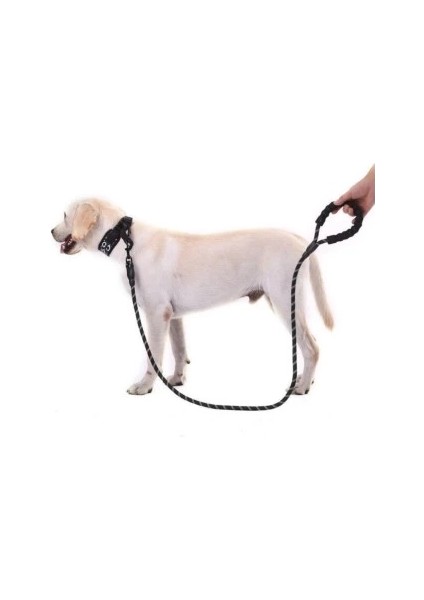 Reflektörlü Köpek Tasması 130 Cm. fiyatları