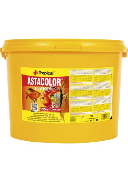 Astacolor Flakes 500 gr Açık Bölme fiyatları