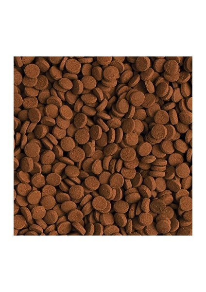 Carnivore 1000 gr Açık Bölme