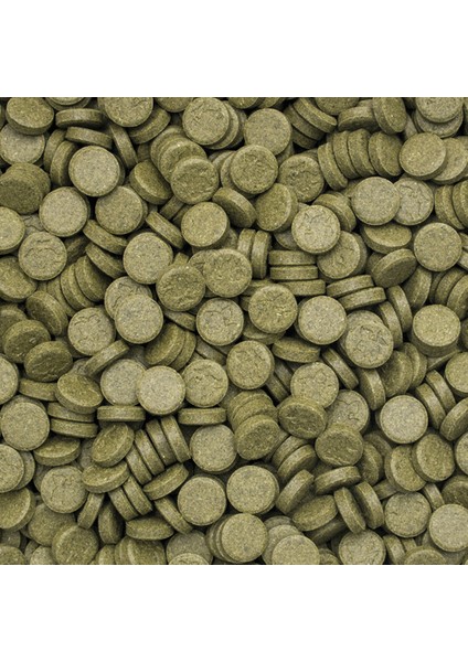 3 Algae Tablets A 50 Adet Balık Yemi