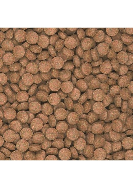 Supervit Tablets B 50 Gram Balık Yemi