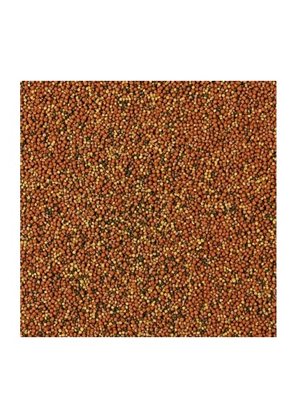 Supervit Granulat 1000 gr Açık