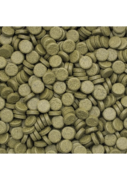 3 Algae Tablets A 500 Adet Açık Bölme