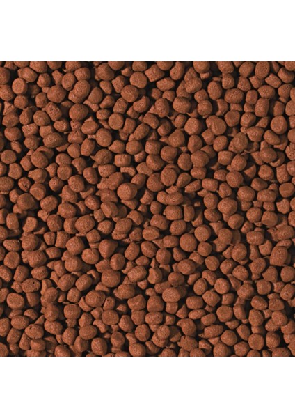 Cichlid Carnivore Medium Pellet 100 gr Açık