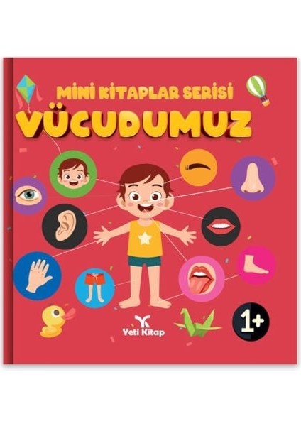 Mini Lar Serisi Vücudumuz