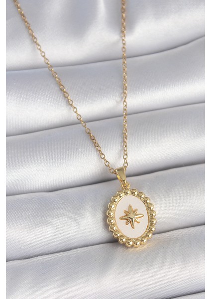 316L Çelik Gold Renk Zincir Beyaz Mineli Kutup Yıldız Işlemeli Madalyon Model Kadın Kolye fiyatları