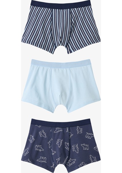 Erkek Çocuk Bear Ayı Desenli 3'lü Boxer