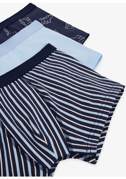 Erkek Çocuk Bear Ayı Desenli 3'lü Boxer fiyatları