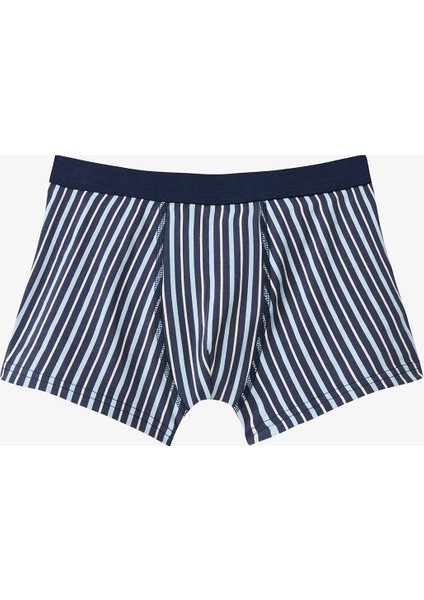 Erkek Çocuk Bear Ayı Desenli 3'lü Boxer fırsatları