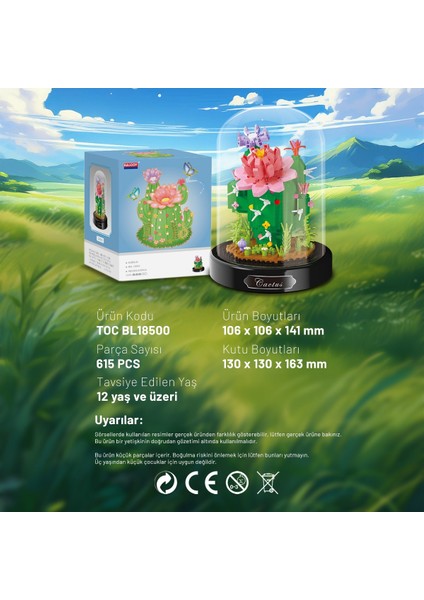 Fanuslu Çiçek Serisi – Kaktüs Yapı Bloğu Seti – 615 Parça modelleri