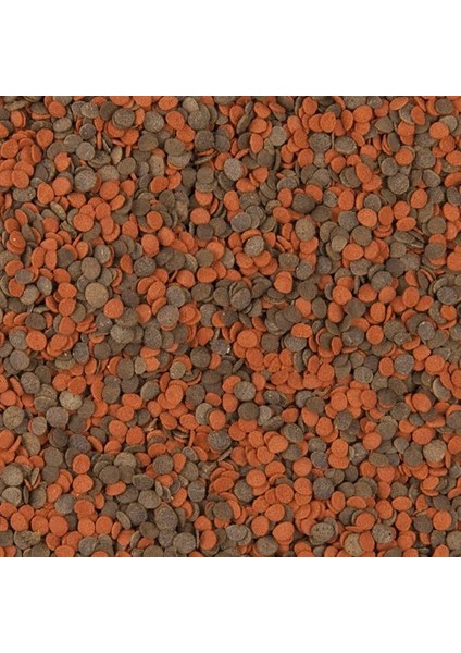 Cichlid Chips 250 Gram Balık Yemi