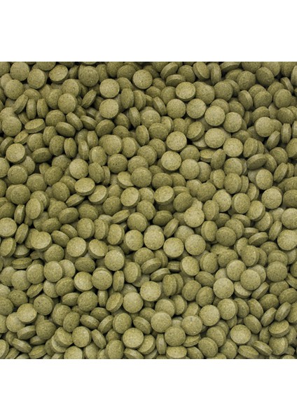3 Algae Tablets B 100 Gram Balık Yemi