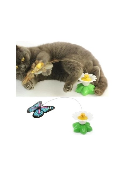 Hareketli Pilli Kelebek Kedi Oyuncağı modelleri