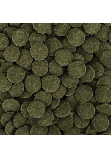 Hi-Algae Discs Xxl 500 gr Açık Bölme