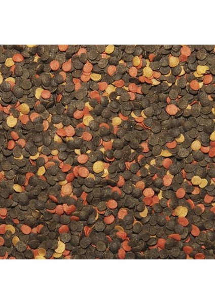 Malawi Chips 250 Gram Balık Yemi