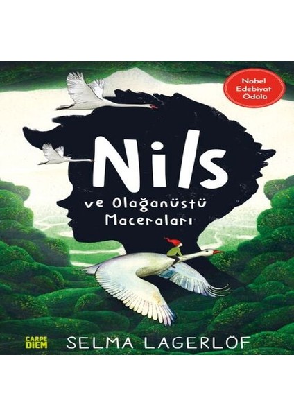 Nils ve Olağanüstü Maceraları