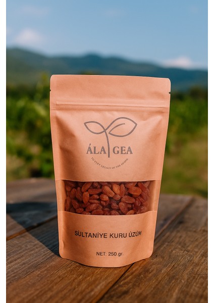 Ala Gea Sultaniye Çekirdesiz Kuru Üzüm 250 gr