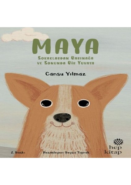 Maya - Sokaklardan Barınağa ve Sonunda Bir Yuvaya