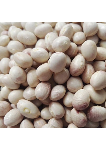 Ispir Fasulyesi fiyatları