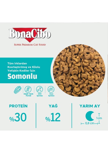 Adult Cat Sterilised Somonlu 2 kg fiyatları