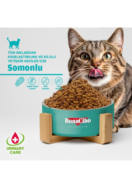 Adult Cat Sterilised Somonlu 2 kg indirimleri