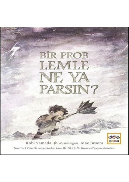 Bir Problemle Ne Yaparsın? (Ciltli)