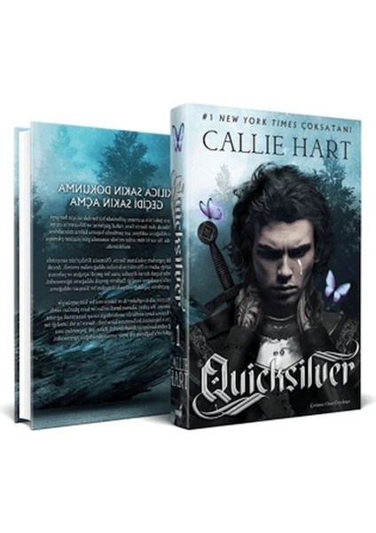 Ouicksilver (Ciltli)