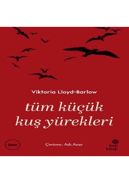 Tüm Küçük Kuş Yürekleri